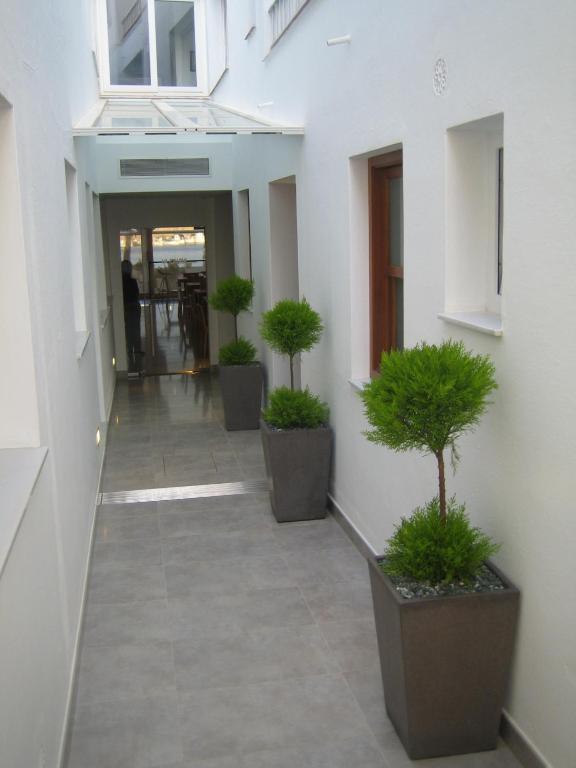 Hostal La Palma Fornells  Dış mekan fotoğraf